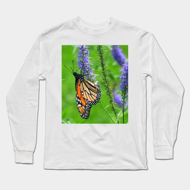 To everything there is a season....Monarch Long Sleeve T-Shirt by AlienVisitor